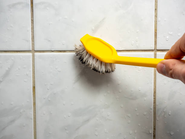 Best Mold Inspection  in Charleston, MO