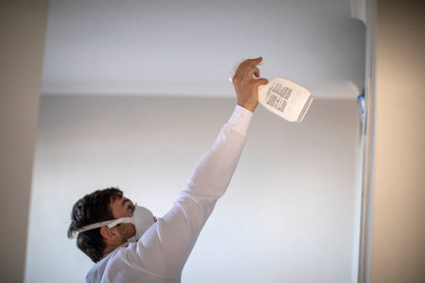 Reliable Charleston, MO Mold Removal Solutions