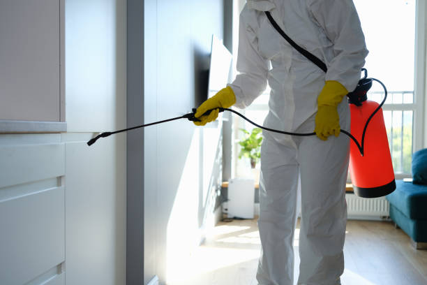 Best Crawl Space Mold Removal  in Charleston, MO