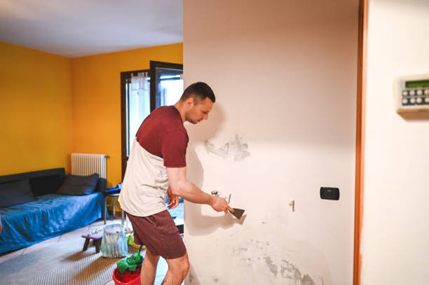 Best Local Mold Removal Service  in Charleston, MO